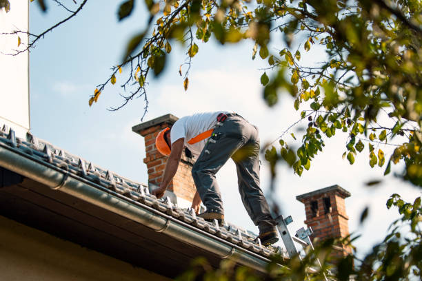 Roof Moss and Algae Removal in Salmon, ID